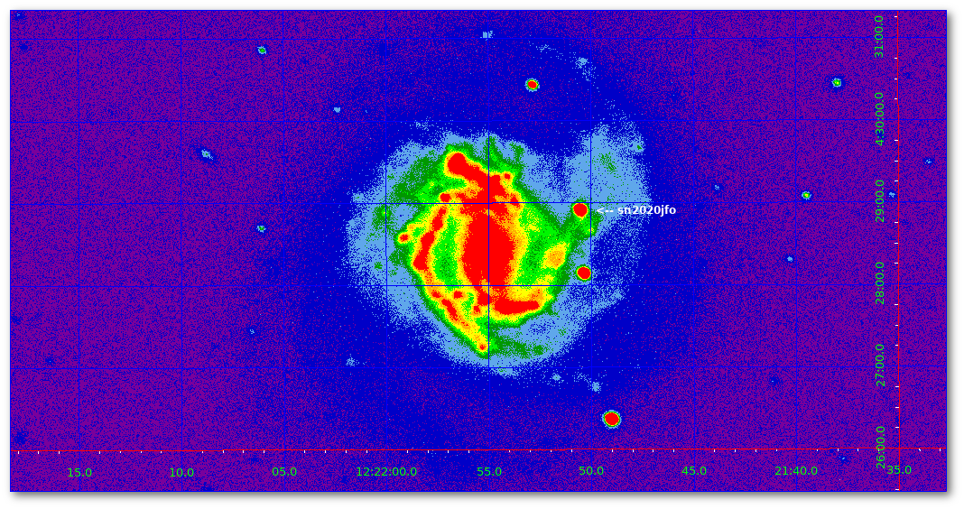 Supernova in M 61 ( sn2020jfo )