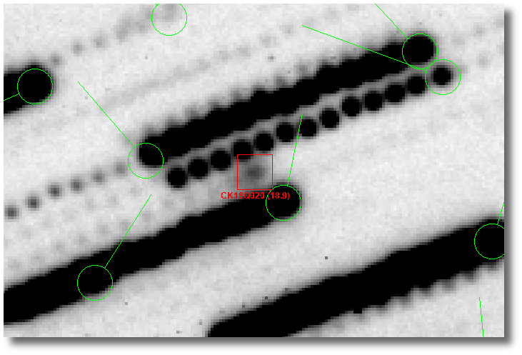 Comet C/2016 Q2 Panstarrs